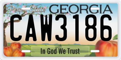 GA license plate CAW3186