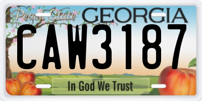 GA license plate CAW3187