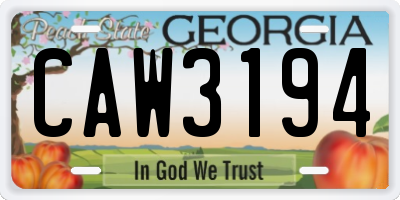 GA license plate CAW3194