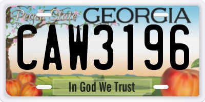 GA license plate CAW3196