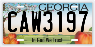 GA license plate CAW3197