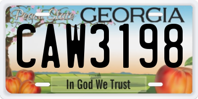 GA license plate CAW3198