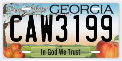 GA license plate CAW3199