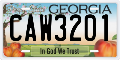 GA license plate CAW3201