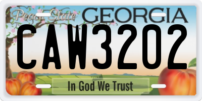 GA license plate CAW3202