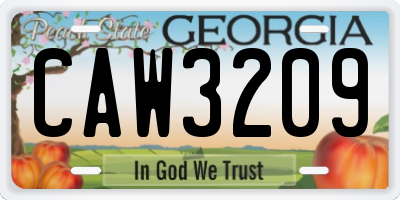 GA license plate CAW3209