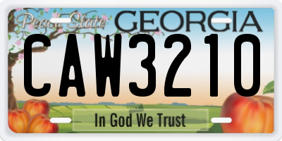 GA license plate CAW3210