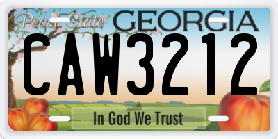 GA license plate CAW3212