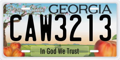 GA license plate CAW3213