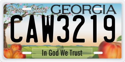 GA license plate CAW3219