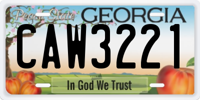 GA license plate CAW3221