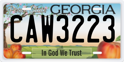 GA license plate CAW3223