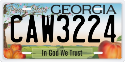 GA license plate CAW3224