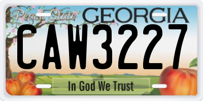 GA license plate CAW3227
