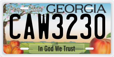 GA license plate CAW3230