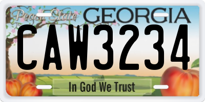 GA license plate CAW3234