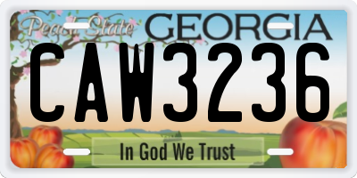 GA license plate CAW3236