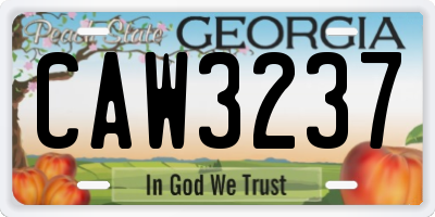 GA license plate CAW3237