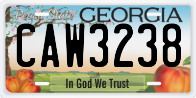 GA license plate CAW3238