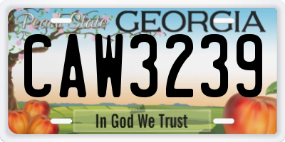 GA license plate CAW3239