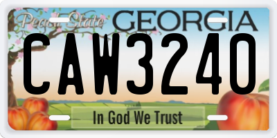 GA license plate CAW3240