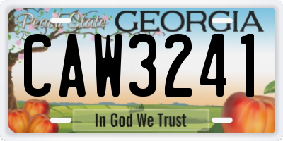 GA license plate CAW3241