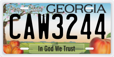 GA license plate CAW3244