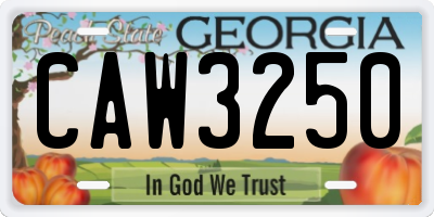 GA license plate CAW3250