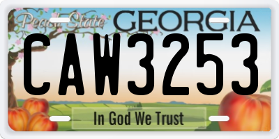 GA license plate CAW3253