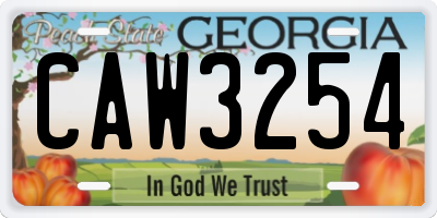 GA license plate CAW3254