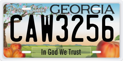 GA license plate CAW3256