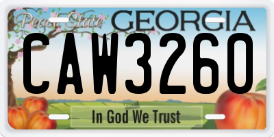 GA license plate CAW3260