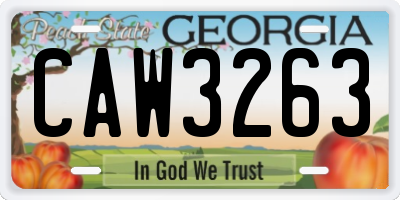 GA license plate CAW3263