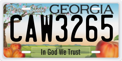 GA license plate CAW3265