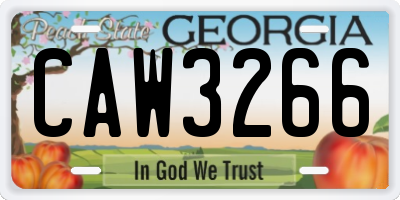 GA license plate CAW3266