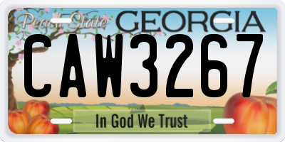 GA license plate CAW3267