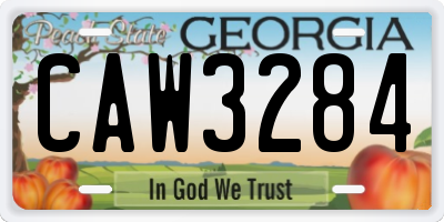 GA license plate CAW3284