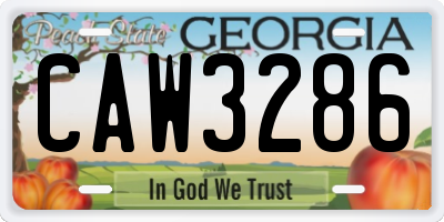 GA license plate CAW3286