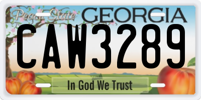 GA license plate CAW3289