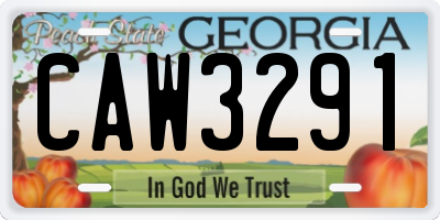 GA license plate CAW3291