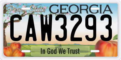 GA license plate CAW3293