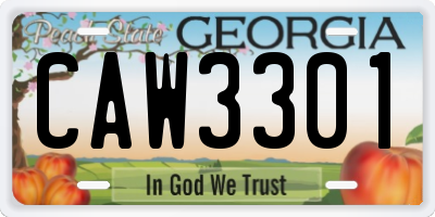 GA license plate CAW3301