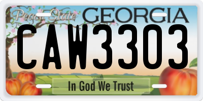 GA license plate CAW3303