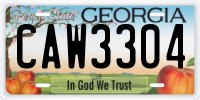 GA license plate CAW3304