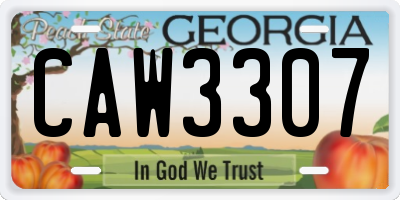 GA license plate CAW3307