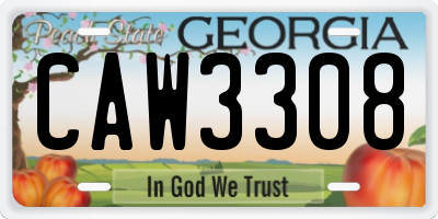 GA license plate CAW3308