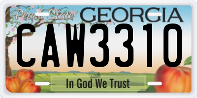 GA license plate CAW3310