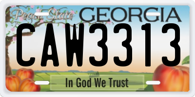 GA license plate CAW3313