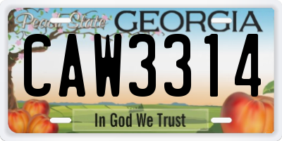 GA license plate CAW3314