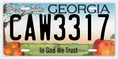 GA license plate CAW3317